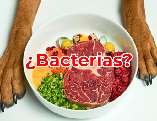 resistencia bacteriana por dietas crudas