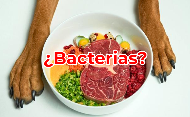 resistencia bacteriana por dietas crudas